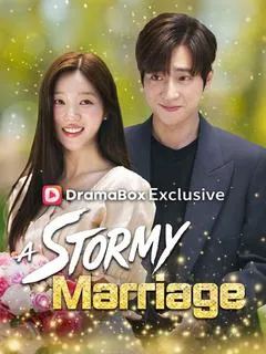 A Stormy Marriage (DUBBED)