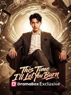 Born Again - This Time I Let You Burn — poster