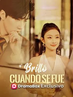 Brilló cuando se fue — póster