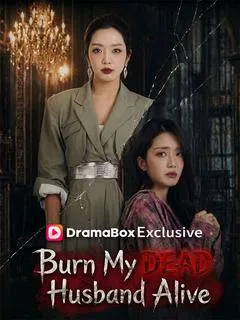 Burn My DEAD Husband Alive — poster