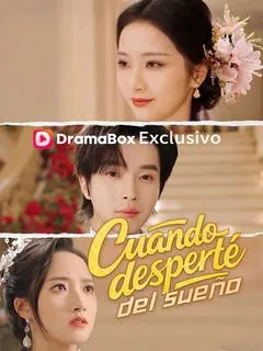 Cuando desperté del sueño (Doblado) — póster