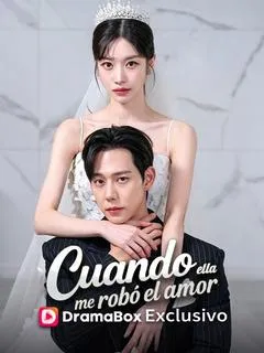 Cuando ella me robó el amor — póster