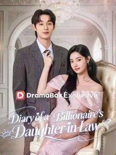 Diary of a Billionaire's Daughter-in-Law(DUBBED) — poster