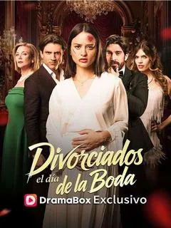 Divorciados el día de la boda — póster