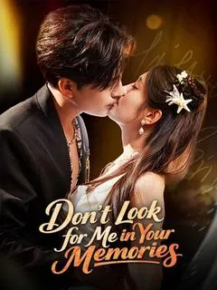 Don't Look for Me in Your Memories — poster