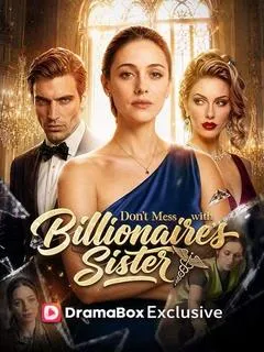 Don't Mess With The Billionaire Sister — poster