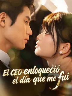 El CEO enloqueció el día que me fui