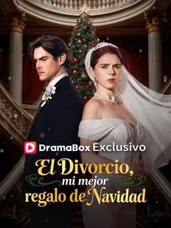 El divorcio, mi mejor regalo de Navidad