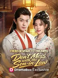 From Despair to Triumph, Don't Mess with the Son‑in‑Law — poster