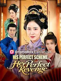 His Perfect Scheme, Her Perfect Revenge — poster