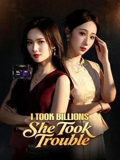 I Took Billions, She Took Trouble — poster