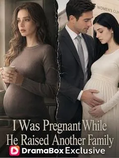 I Was Pregnant While He Raised Another Family — poster