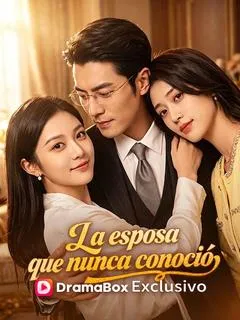 La esposa que nunca conoció — póster