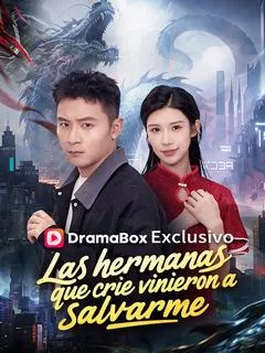 Las hermanas que crie vinieron a salvarme — póster