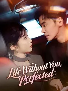 Life Without You, Perfected