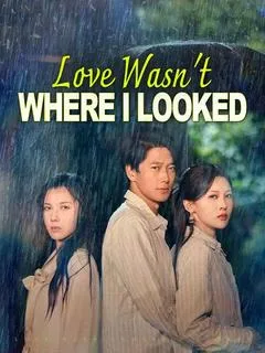 Love Wasn't Where I Looked(DUBBED) — poster