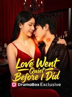 Love Went Quiet Before I Did (DUBBED)