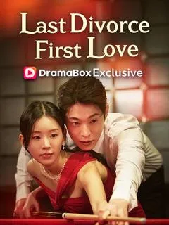 My Last Divorce, My First Love(DUBBED) — poster
