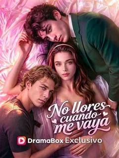 No llores cuando me vaya — póster