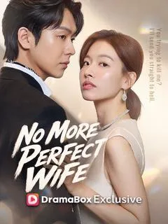 No More Perfect Wife — poster