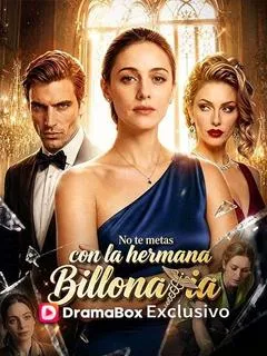 No te metas con la hermana billonaria(Doblado) — póster