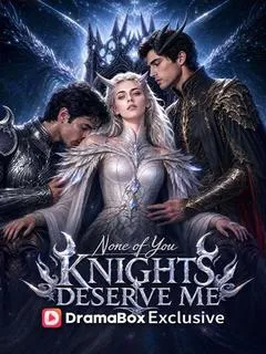None of You Knights Deserve Me — poster