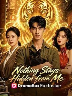 Nothing Stays Hidden from Me — poster
