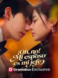 ¡Oh, no! Mi esposo es mi jefe — póster