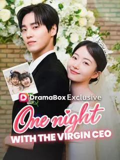 One Night With the Virgin CEO (DUBBED) — poster