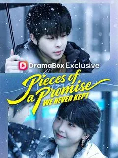 Pieces of a Promise We Never Kept