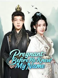 Pregnant Before He Knew My Name — poster