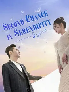 Second Chance in Serendipity — poster