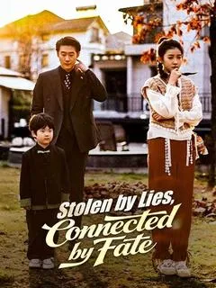 Stolen by Lies, Connected by Fate — poster
