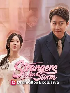 Strangers in the Storm — poster