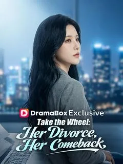 Take the Wheel: Her Divorce, Her Comeback — poster
