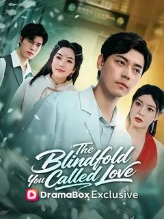 The Blindfold You Called Love — poster