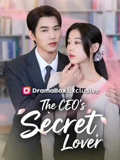 The CEO's Secret Lover — poster