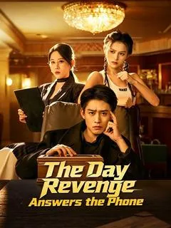 The Day Revenge Answers the Phone — poster