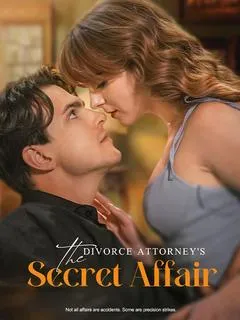 The Divorce Attorney's Secret Affair — poster