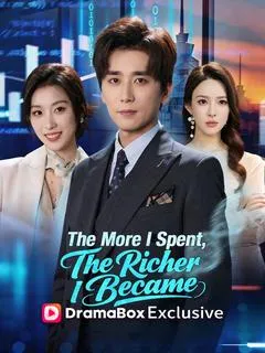 The More I Spent, The Richer I Became — poster
