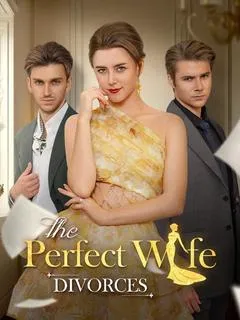 The Perfect Wife Divorces — poster