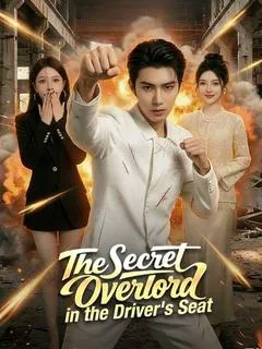 The Secret Overlord in the Driver's Seat — poster