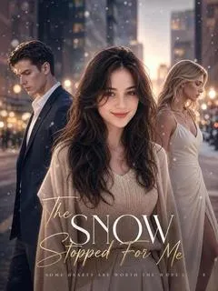 The Snow Stopped for Me — poster