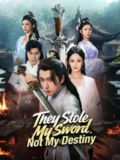 They Stole My Sword, Not My Destiny — poster