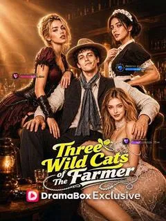 Three Wild Cats of The Farmer — poster