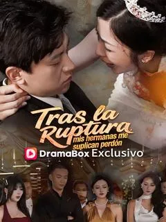 Tras la ruptura, mis hermanas me suplican perdón — póster