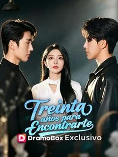 Treinta años para encontrarte — póster