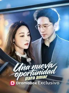 Una nueva oportunidad para amar — póster