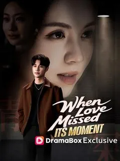 When Love Missed Its Moment(DUBBED) — poster