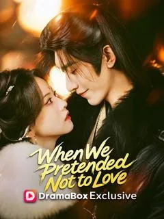 When We Pretended Not to Love — poster